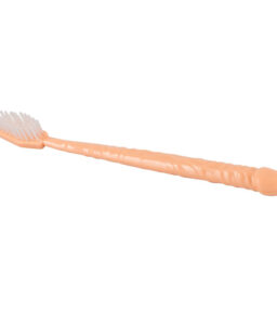 Penis Zahnbürste