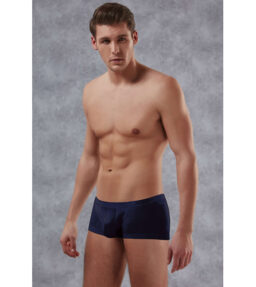 Adonis Boxer - blau