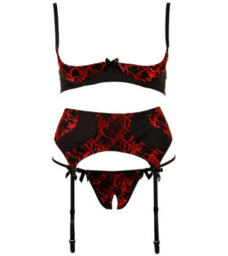 BH-Set mit roter Stickerei