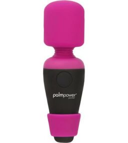 PalmPower Pocket