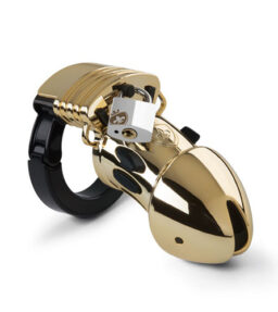 Pubic Enemy Nr 1 - Gold Edition