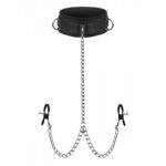Submission Collar And Nipple Clamp Union