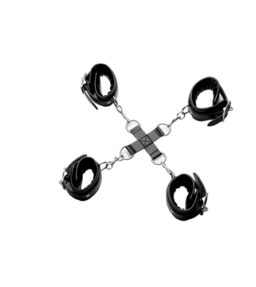 Fessel Rückhaltesystem