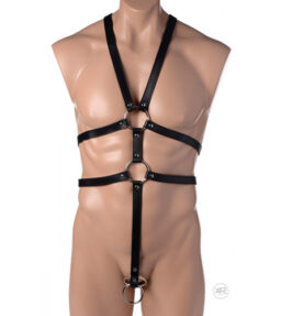 Body Harness