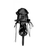 Pet Crawler Bondage Set