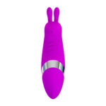 Beck Mini-Vibrator