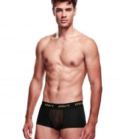 Envy Transparente Herrenshorts - Schwarz