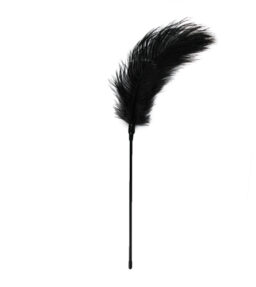 Schwarzer Feder-Tickler