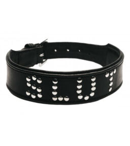 Halsband aus Leder mit SLUT-Schriftzug (aus Nieten)