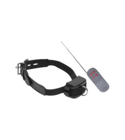 Elektro-Halsband mit Fernbedienung
